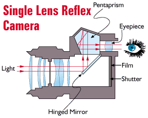 SLR full form