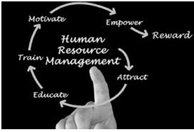 Human Resource Management